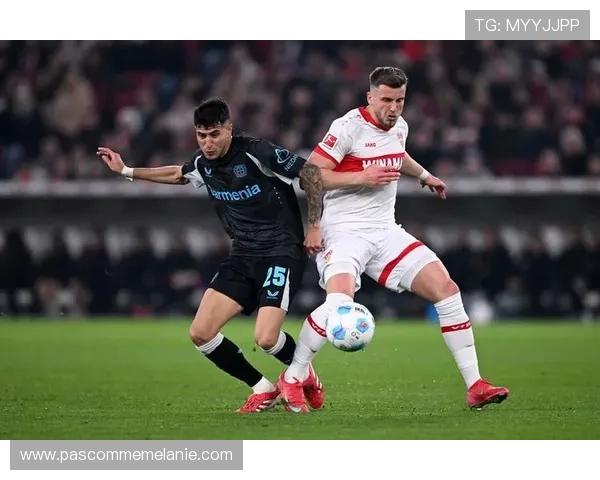 勒沃库森官方宣布帕拉西奥斯内收肌肌腱受伤将缺阵至明年年初 勒沃库森官方宣布帕拉西奥斯内收肌肌腱受伤将缺阵至明年年初