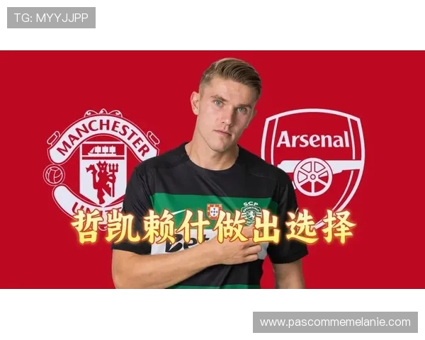 亨利亲自分析哲凯赖什的提升空间与成长路径，深度解析未来潜力