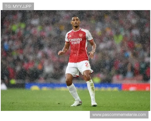 萨利巴出战提升阿森纳场均0.5分表现 关键作用引发关注 萨利巴出战提升阿森纳场均0.5分表现 关键作用引发关注