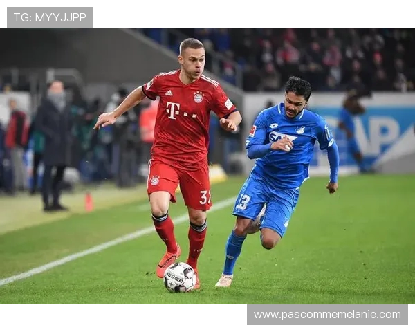 雅克松卡尔迎德甲首秀携手首发助拜仁出战霍芬海姆 雅克松卡尔迎德甲首秀携手首发助拜仁出战霍芬海姆