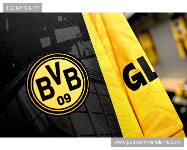 哈曼:多特有望在冬歇期前以五分优势夺得半程冠军 哈曼:多特有望在冬歇期前以五分优势夺得半程冠军