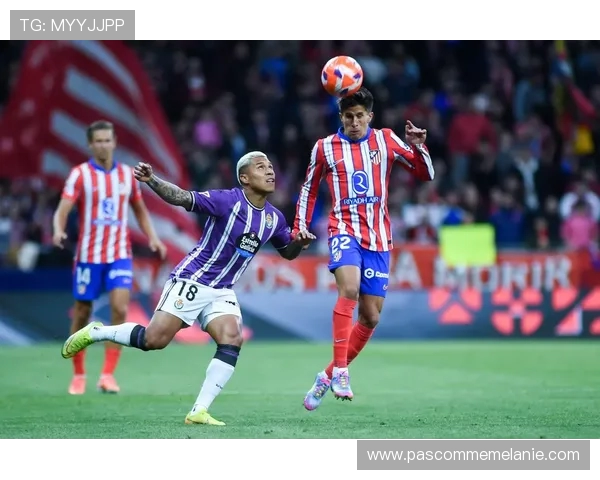 西甲联盟承诺全力支持中国足球发展 助力提升竞技水平与管理体系 西甲联盟承诺全力支持中国足球发展 助力提升竞技水平与管理体系